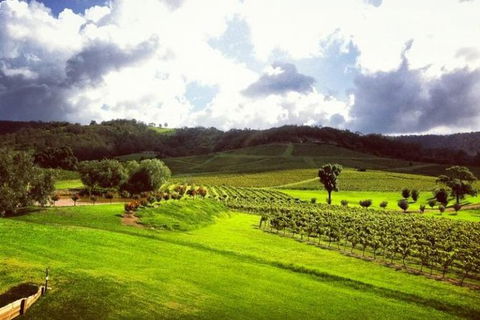 Ivanhoe Wines: Trip Advisor Wine Masterclass With Cheese Plate - Hotels Melbourne 3