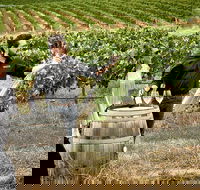 VIP Soil-To-Cellar Experience - Hotels Melbourne