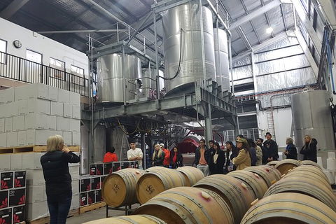 Hunter Valley Small Group Wine, Gin, Cheese & Chocolate Tour - Hotels Melbourne 6
