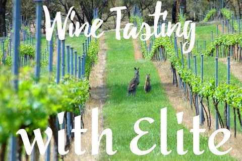 Six Hour - Plan Your Own Wine And Cheese Tour Hunter Valley - Hotels Melbourne 7