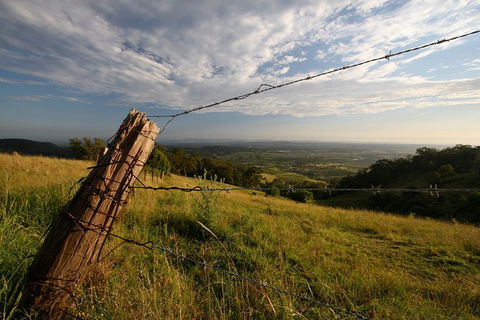 Private Full-Day Wine Tour In Hunter Valley - Hotels Melbourne 3