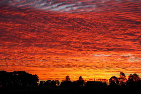 Private Full-Day Wine Tour In Hunter Valley - Hotels Melbourne 0