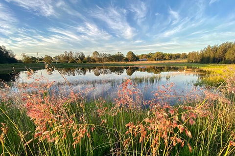 Private Full-Day Wine Tour In Hunter Valley - Hotels Melbourne 5