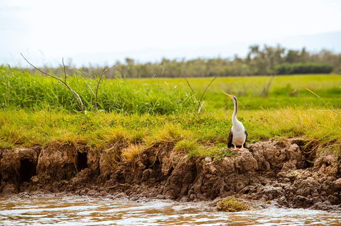 Darwin City Sights And Jumping Crocodile Cruise - Hotels Melbourne 5