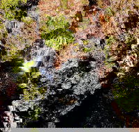 Ethical Adventures - Pure Litchfield - Hotels Melbourne