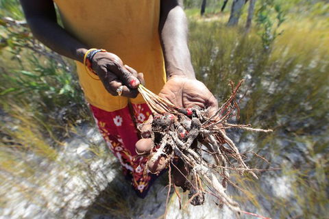Gay-Wu Woman\'s 5 Day Yolngu Homeland Tour - Hotels Melbourne 10