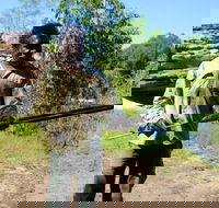 Kakadu  Arnhem Land tour Camping tour - Hotels Melbourne