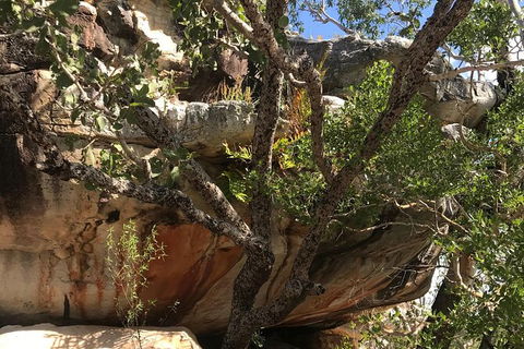 4-Hour Groote Eylandt Explorer 4WD Tour - Hotels Melbourne 1