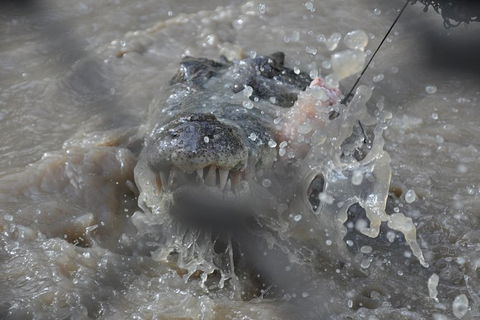Jumping Crocodile Day Trip From Darwin - Hotels Melbourne 1