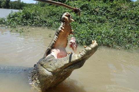Jumping Crocodile Day Trip From Darwin - Hotels Melbourne 2