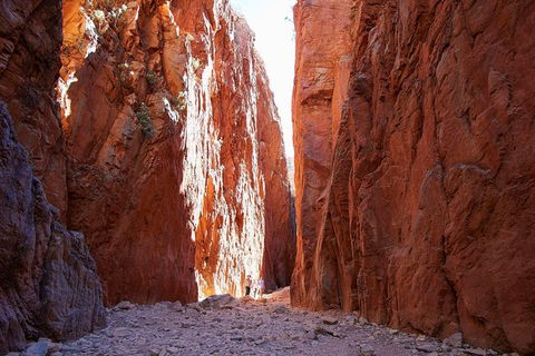 Best Of Alice Springs Full Day Tour - Hotels Melbourne 6