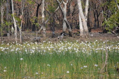 Darwin: Premium Litchfield Regional 11 Hours Tour - Hotels Melbourne 4