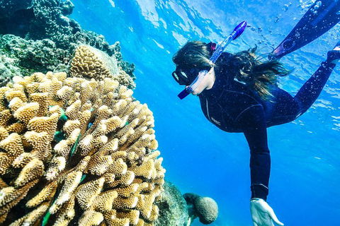 Green Island Day Trip From Cairns - Hotels Melbourne 5