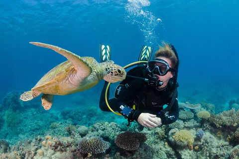 Silverswift Outer Great Barrier Reef Dive And Snorkel Cruise From Cairns - Hotels Melbourne 1