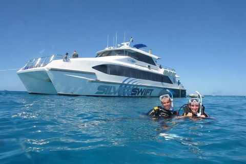 Silverswift Outer Great Barrier Reef Dive And Snorkel Cruise From Cairns - Hotels Melbourne 0
