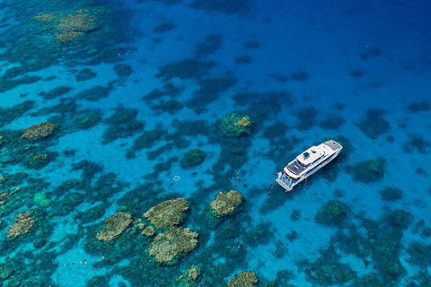 Silverswift Outer Great Barrier Reef Dive And Snorkel Cruise From Cairns - Hotels Melbourne 2