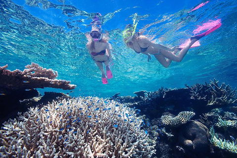 2-Day Best Of Cairns And The Great Barrier Reef - Hotels Melbourne 6