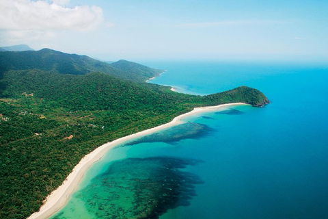 Cape Tribulation, Mossman Gorge, And Daintree Rainforest Premium Day Tour - Hotels Melbourne 0