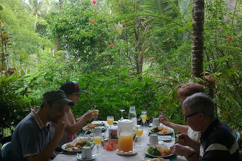 Cape Tribulation, Mossman Gorge, And Daintree Rainforest Premium Day Tour - Hotels Melbourne 9