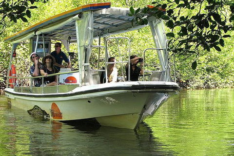 Cape Tribulation, Mossman Gorge, And Daintree Rainforest Premium Day Tour - Hotels Melbourne 11