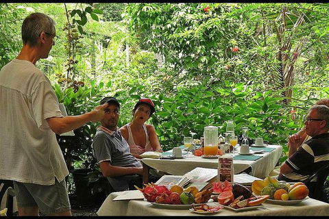 Cape Tribulation, Mossman Gorge, And Daintree Rainforest Premium Day Tour - Hotels Melbourne 6