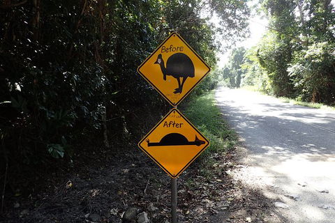 Cape Tribulation, Mossman Gorge, And Daintree Rainforest Premium Day Tour - Hotels Melbourne 14