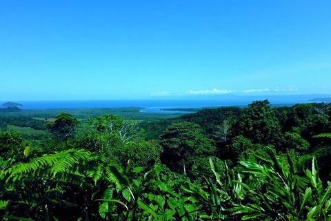 Cape Tribulation, Mossman Gorge, And Daintree Rainforest Premium Day Tour - Hotels Melbourne 13