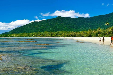 Cape Tribulation, Mossman Gorge, And Daintree Rainforest Premium Day Tour - Hotels Melbourne 7