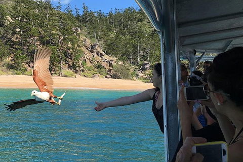 Aquascene Magnetic Island Discovery Tour - Hotels Melbourne 2