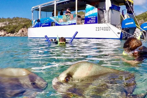 Aquascene Magnetic Island Discovery Tour - Hotels Melbourne 4