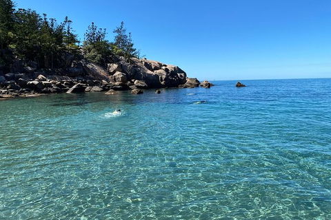 Aquascene Magnetic Island Discovery Tour - Hotels Melbourne 9