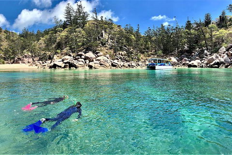 Aquascene Magnetic Island Discovery Tour - Hotels Melbourne 8