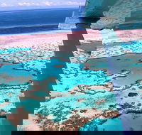 8-Day Cairns Tour Great Barrier Reef Kuranda Daintree Rainforest - Hotels Melbourne