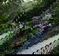 4-Day Cairns with Great Barrier Reef and Daintree Rainforest - Hotels Melbourne