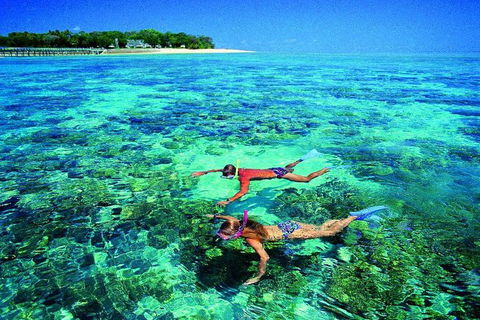 4-Day Cairns With Great Barrier Reef And Daintree Rainforest - Hotels Melbourne 3