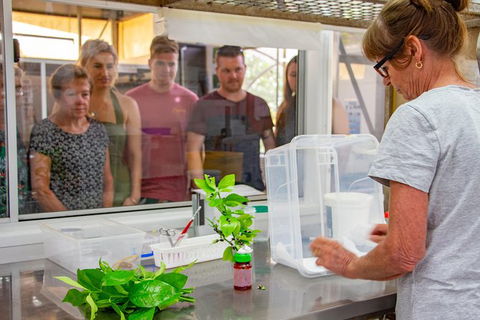 Australian Butterfly Sanctuary - Hotels Melbourne 6