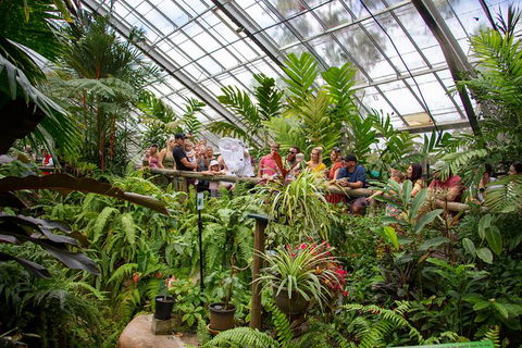Australian Butterfly Sanctuary - Hotels Melbourne 4