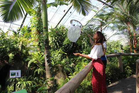 Australian Butterfly Sanctuary - Hotels Melbourne 2