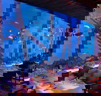 Cairns Aquarium and small group City Sightseeing Tour - Hotels Melbourne