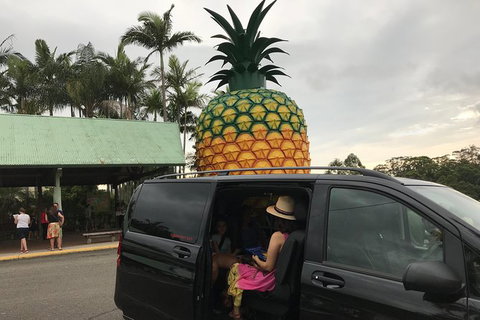 Private Transfer From Sunshine Coast Airport To Noosa For 1 To 7 People - Hotels Melbourne 2