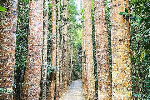 The Paronella Experience - Hotels Melbourne 5