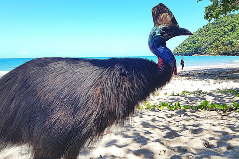 The Paronella Experience - Hotels Melbourne 6