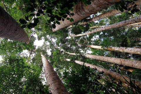 The Paronella Experience - Hotels Melbourne 2