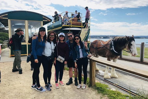 Adelaide Driving Tour - Hotels Melbourne 3
