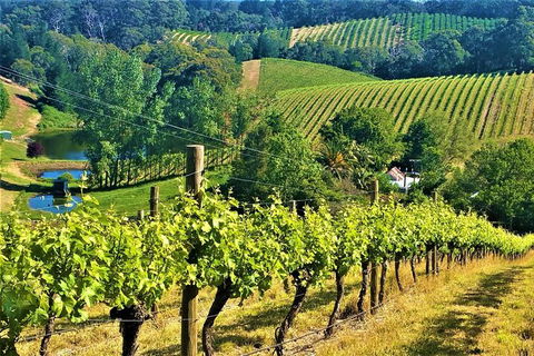 Adelaide Hills Private Day Tour - Hotels Melbourne 0