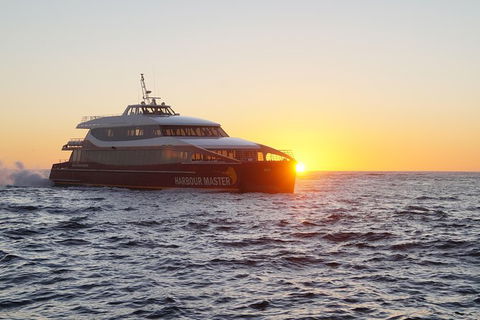 Afternoon Gordon River Dinner Cruise - Departing 3pm - Hotels Melbourne 0