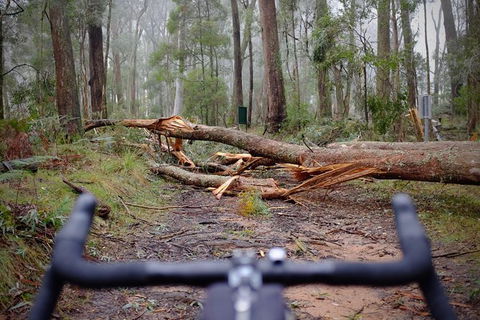 Not So Flat Stanley - Half Day Beechworth Gravel Cycling Tour - Hotels Melbourne 7