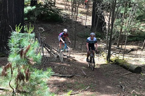 Not So Flat Stanley - Half Day Beechworth Gravel Cycling Tour - Hotels Melbourne 2