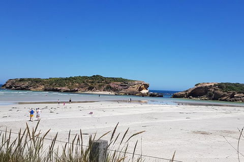 Warrnambool Wanderer Tour - Hotels Melbourne 1