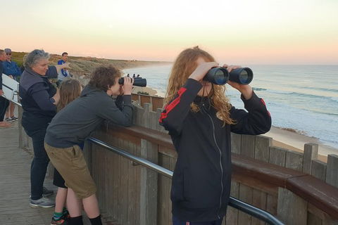 Warrnambool Wanderer Tour - Hotels Melbourne 2